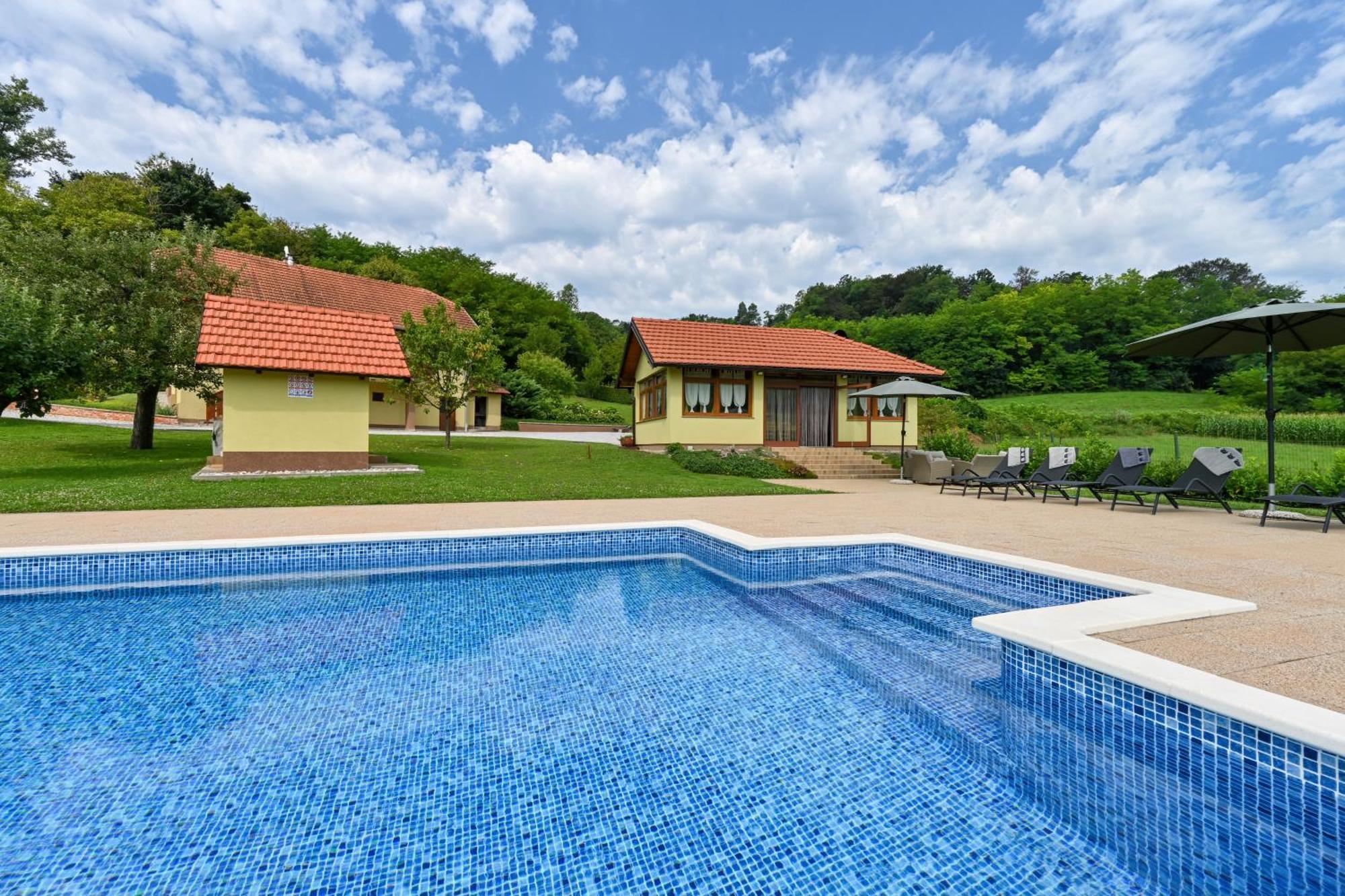 Ruralna Kuca 'Villa Zagorka' Za Odmor Sa Bazenom I Bocalistem Donja Pacetina Exterior foto